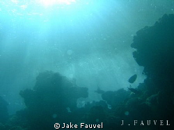 Taken in Egypt, interesting lighting shining through.. Cr... by Jake Fauvel 